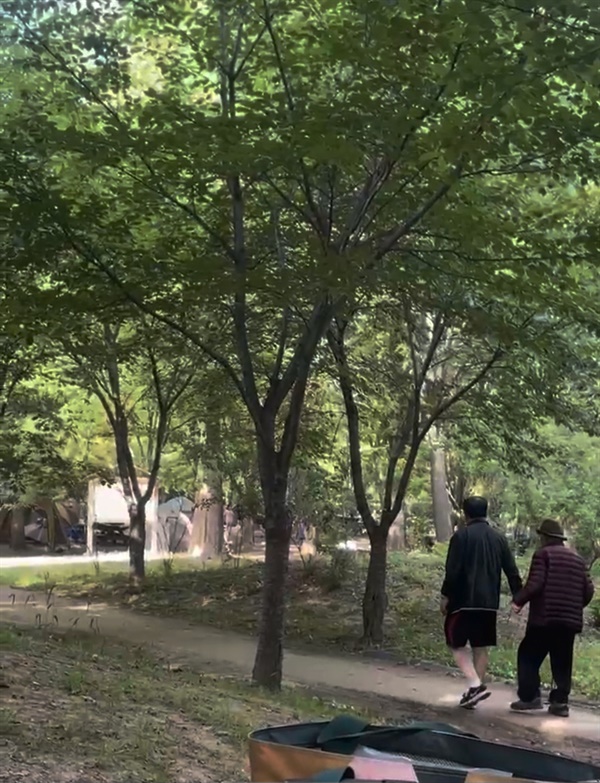  환갑이 된 아들이 지팡이 쥔 아흔의 아버지와 같이 숲길을 걷는다.