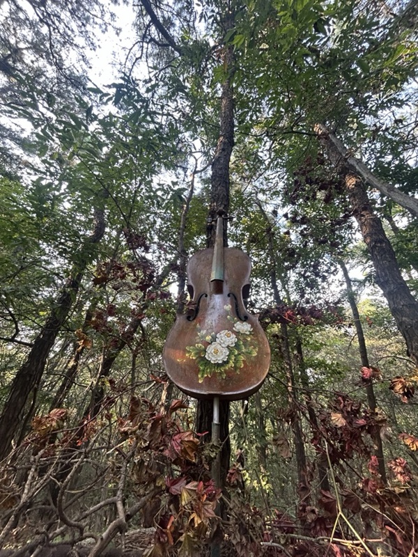 숲속의 만트라 버려진 첼로에 그림을 그리고 나무에 설치한 작품. 치유음악 만트라가 몸과 맘을 평온하게 해줄 듯 하다.