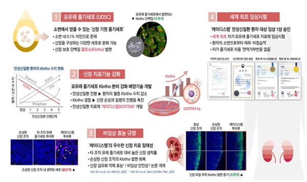  강태욱 ㈜이에이치엘바이오 신약개발본부장의 성과인 '세계 최초 자가 요유래 줄기세포를 이용한 만성신질환 환자 대상 임상시험'.