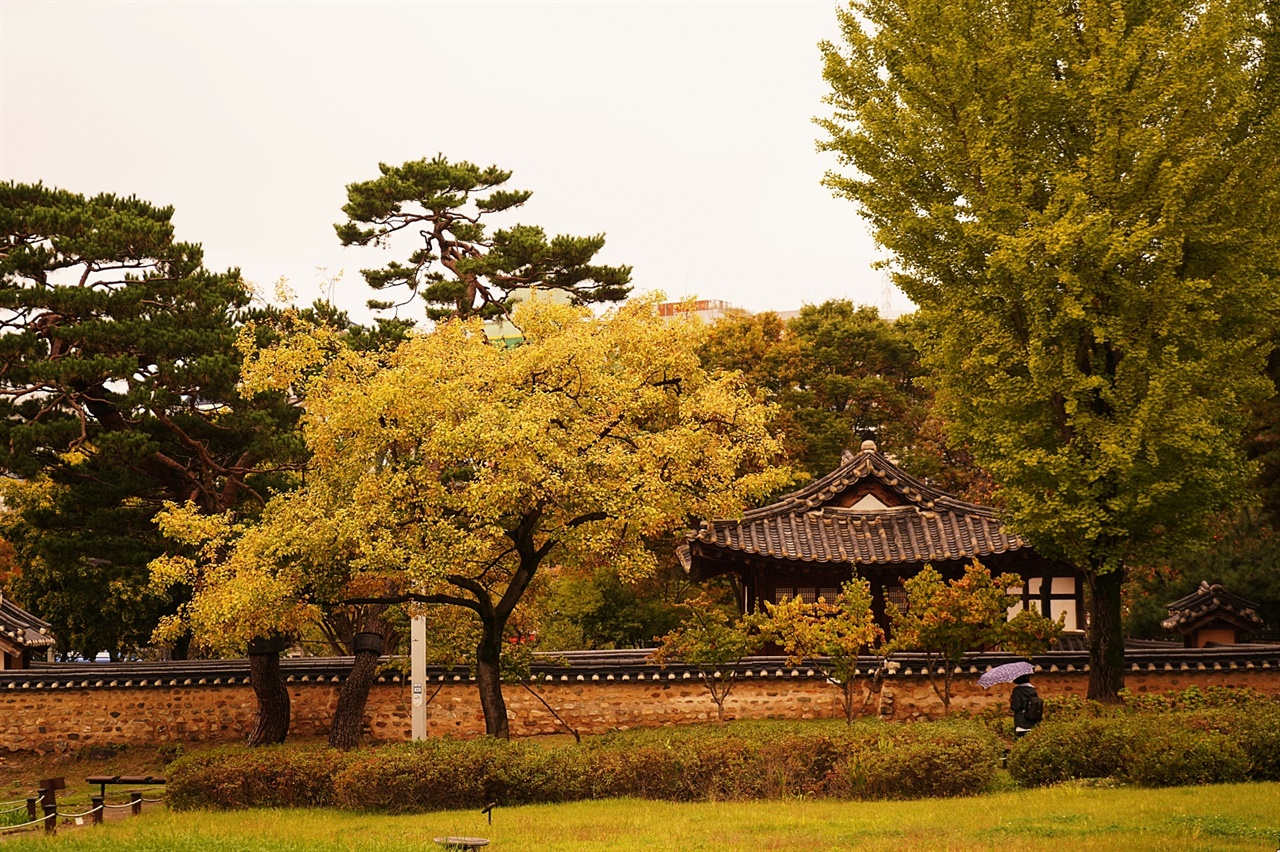  동춘당공원의 가을 풍경