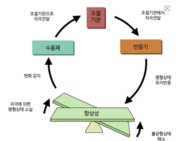 연금재정의 항상성 연금재정의 항상성 유지 구조