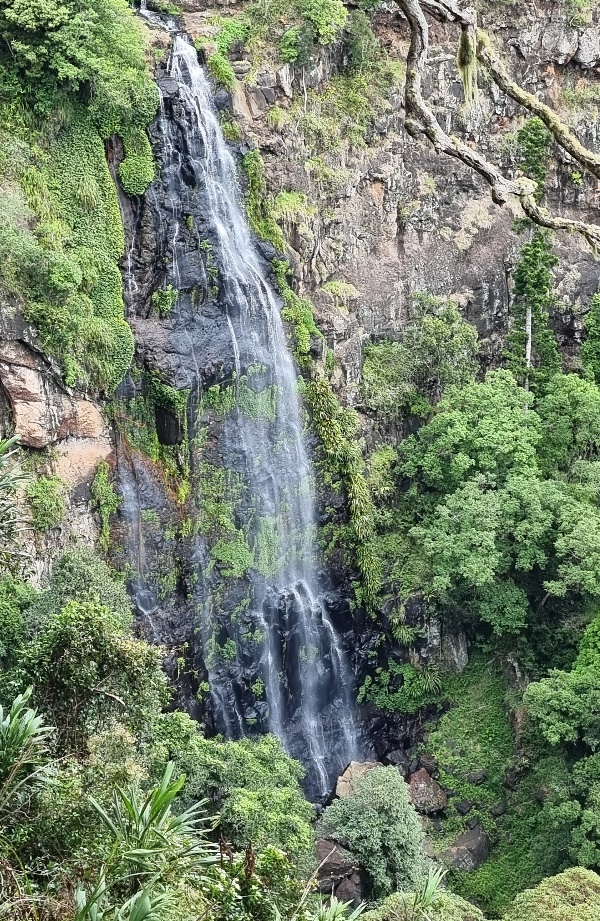  모란 폭포(Morans Falls) 전경