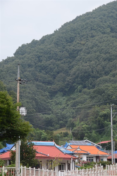  충북 옥천 막지리.