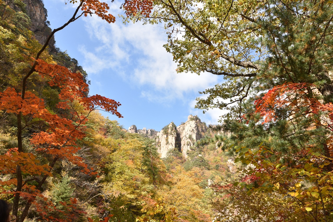  주전골 단풍