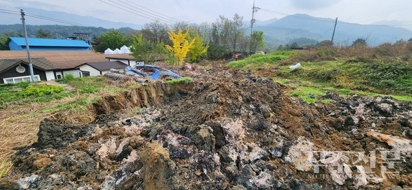  전북 무주군 안성면 죽장마을에 있는 한 돼지농장 뒤편 부지. 돼지 사체가 무더기로 발견됐다.