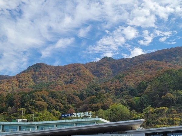 가평 휴게소의 자연 풍경 오색 단풍이 물든 가평 휴계소의 주면