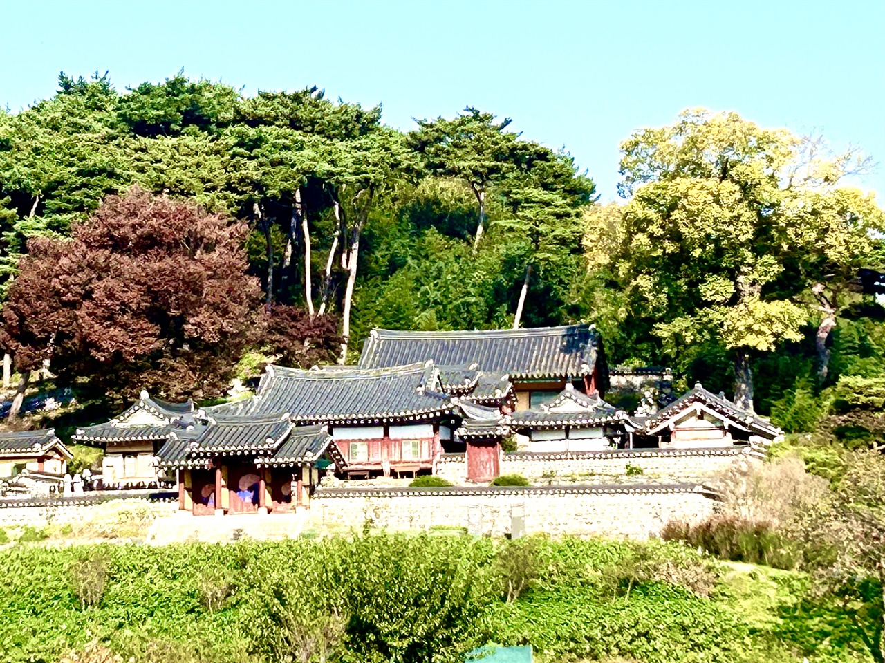  가을이 찾아온 결성향교. 