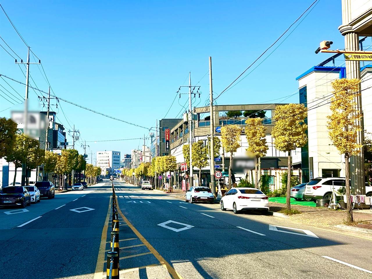  주말인 3일, 홍성읍의 대표적인 가로수인 은행나무는 노랗게 물들어 가면서 거리에는 낙엽들이 쌓이기 시작했다.