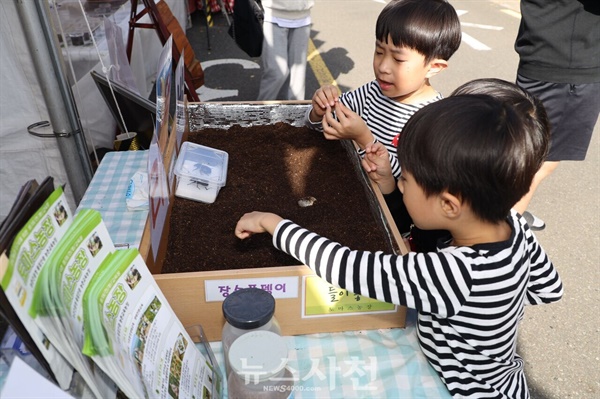  제16회 사천시농업한마당축제가 11월 3일 오후 풍년 노래자랑 시상식과 화합한마당을 끝으로 사흘간의 일정을 마무리했다.