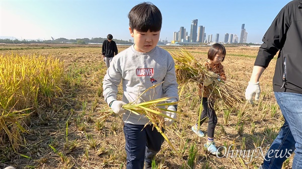  장남들보전시민모임은 지난 2일 금개구리학교 3교시 ‘가을걷이’를 열었다.