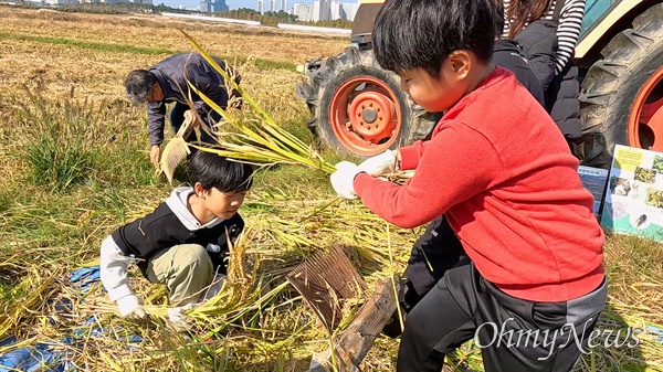  장남들보전시민모임은 지난 2일 금개구리학교 3교시 ‘가을걷이’를 열었다.