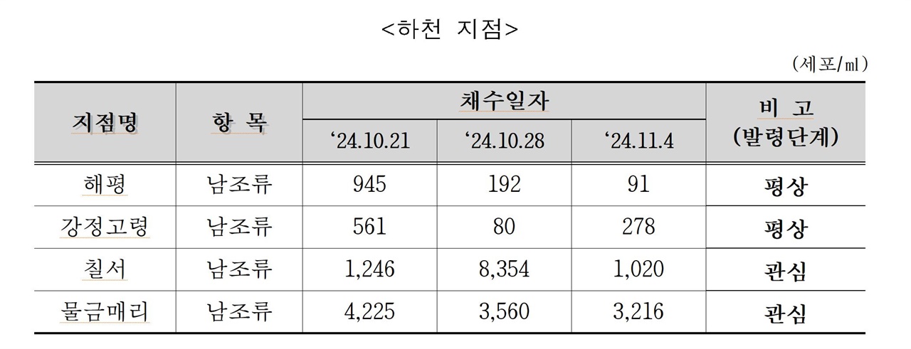  이 가을에도 여전히 조류경보제가 발동하고 있다. 밀리리터당 1천셀을 넘어 조류경보 관심단계가 발령됐다.