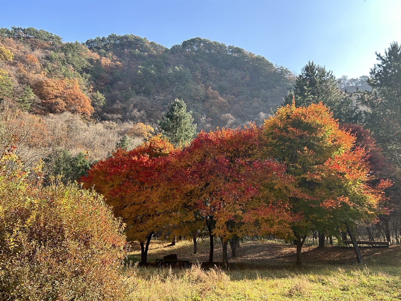 두타연의 단풍 가을 단풍