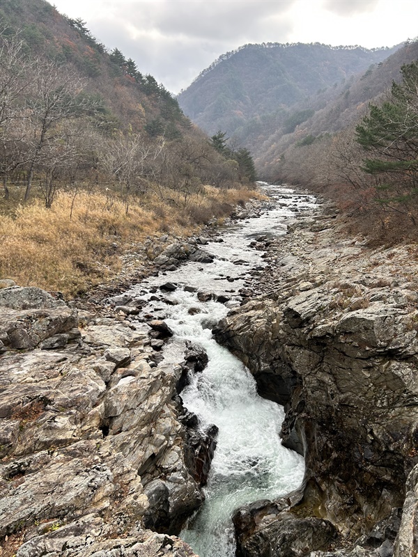 두타연물줄기 한반도 지형의 모습과 비슷한 물줄기