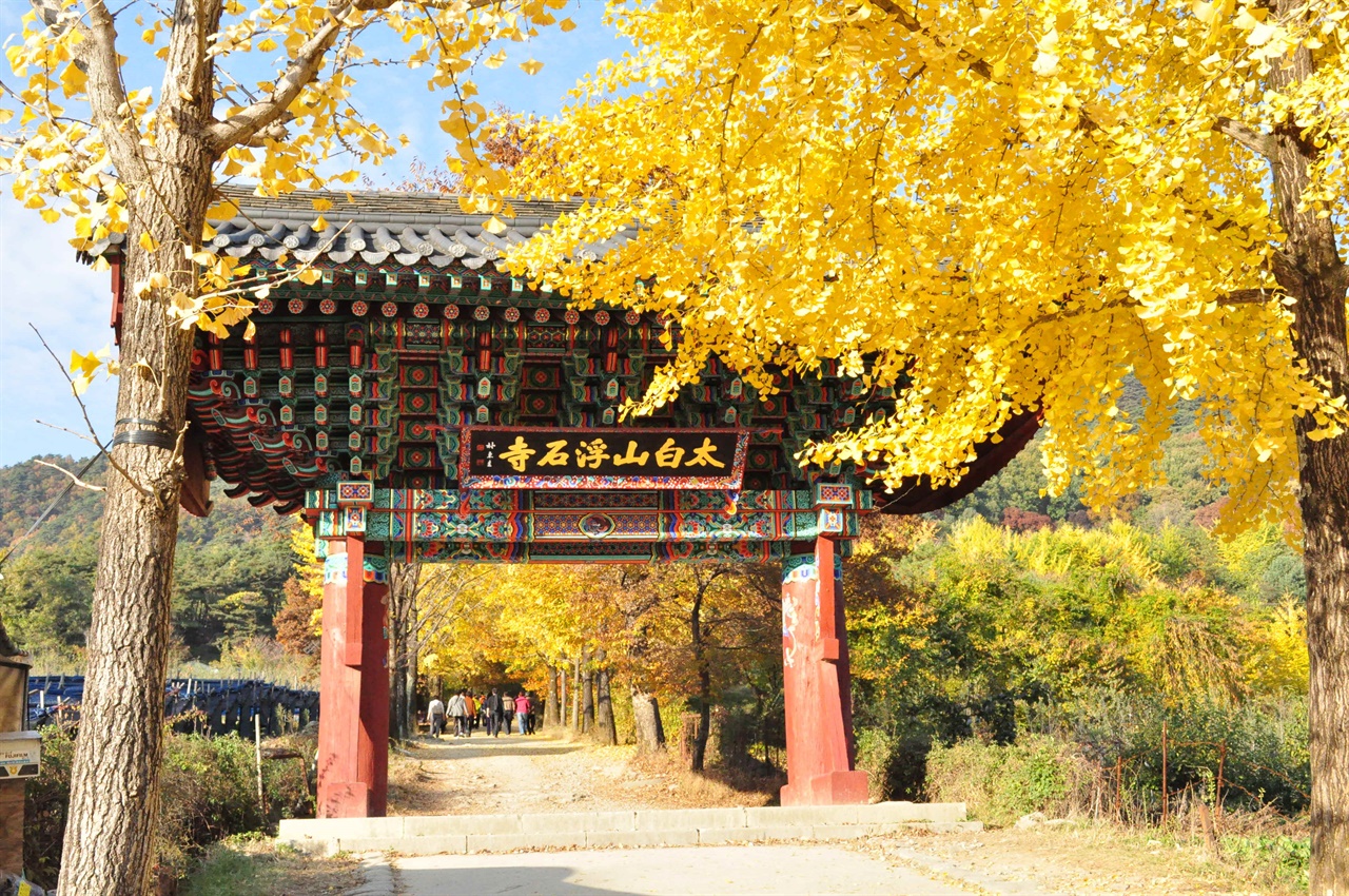  영주 부석사 일주문. 일주문과 천왕문으로 오르는 길의 은행단풍이 가장 아름답다.