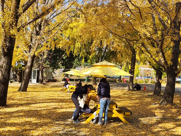  충남 보령 은행마을의 모습. 