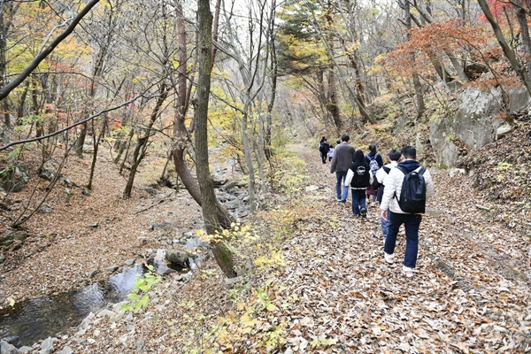  곱게 단풍이 든 길을 아이들과 함께 걸어 금호강 발원지로 향한다