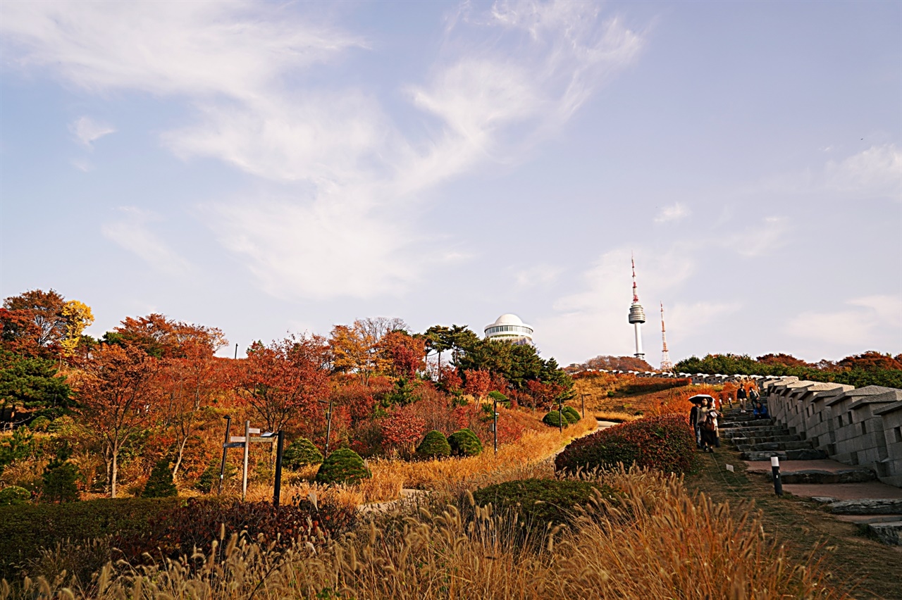  남산 성곽길을 오르며 바라본 풍경