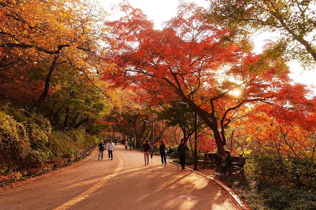  남산 둘레길 단풍