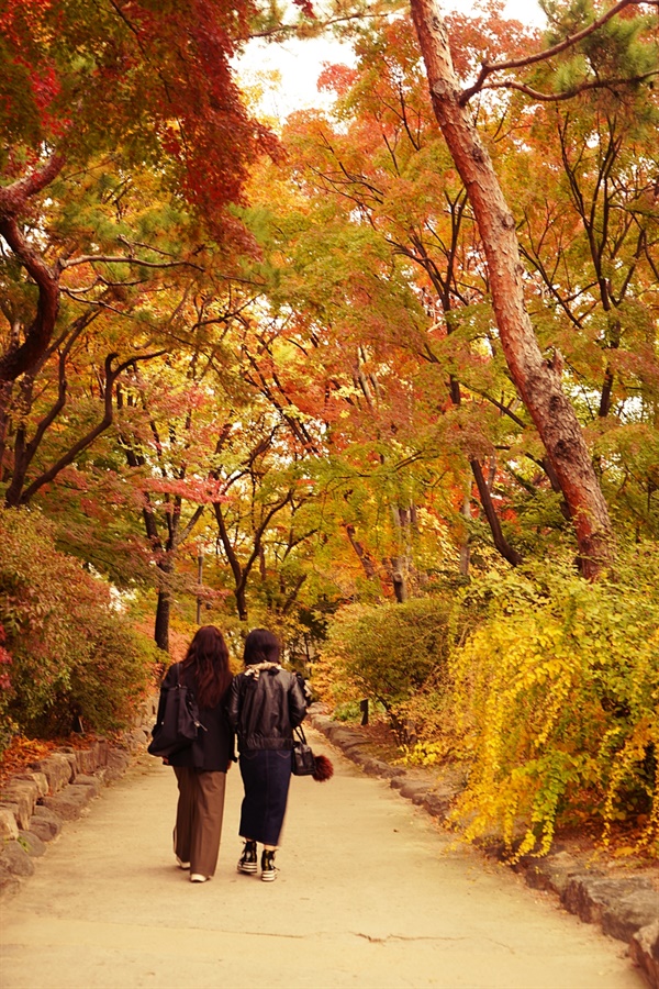  덕수궁 석조전 뒷쪽 산책로