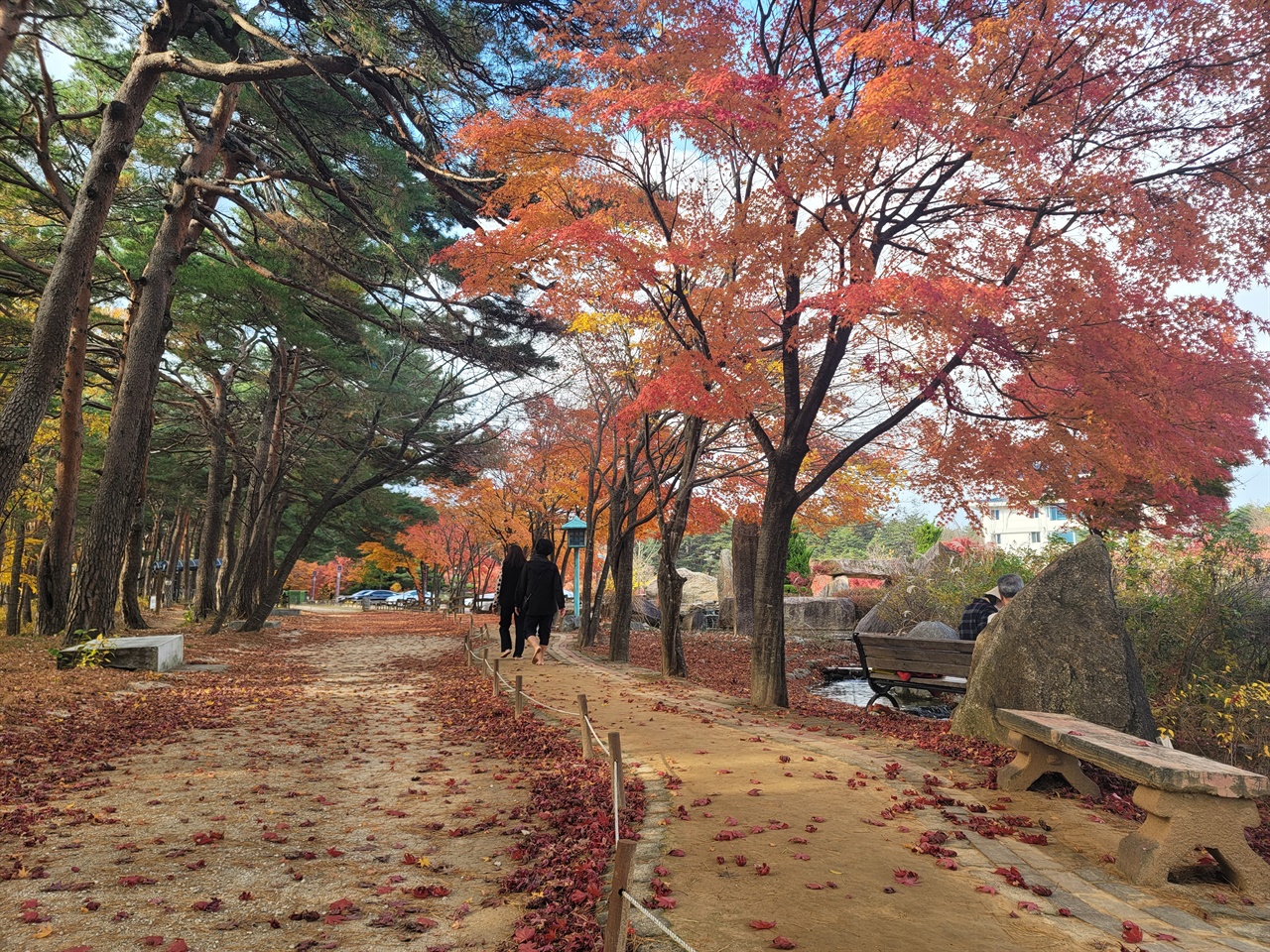 천산온천 맨발 산책로 척산온천 산책로의 늦가을 풍경입니다.온천도 즐길 수 있고 마지막 만추를 즐길 수 있는 최적의 장소입니다.