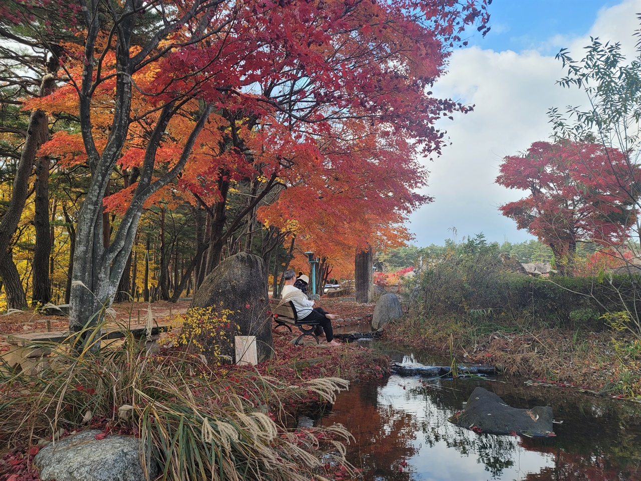 척산온천 산책로의 가을풍경 척산온천 산책로의 늦가을 풍경입니다.온천도 즐길 수 있고 마지막 만추를 즐길 수 있는 최적의 장소입니다.