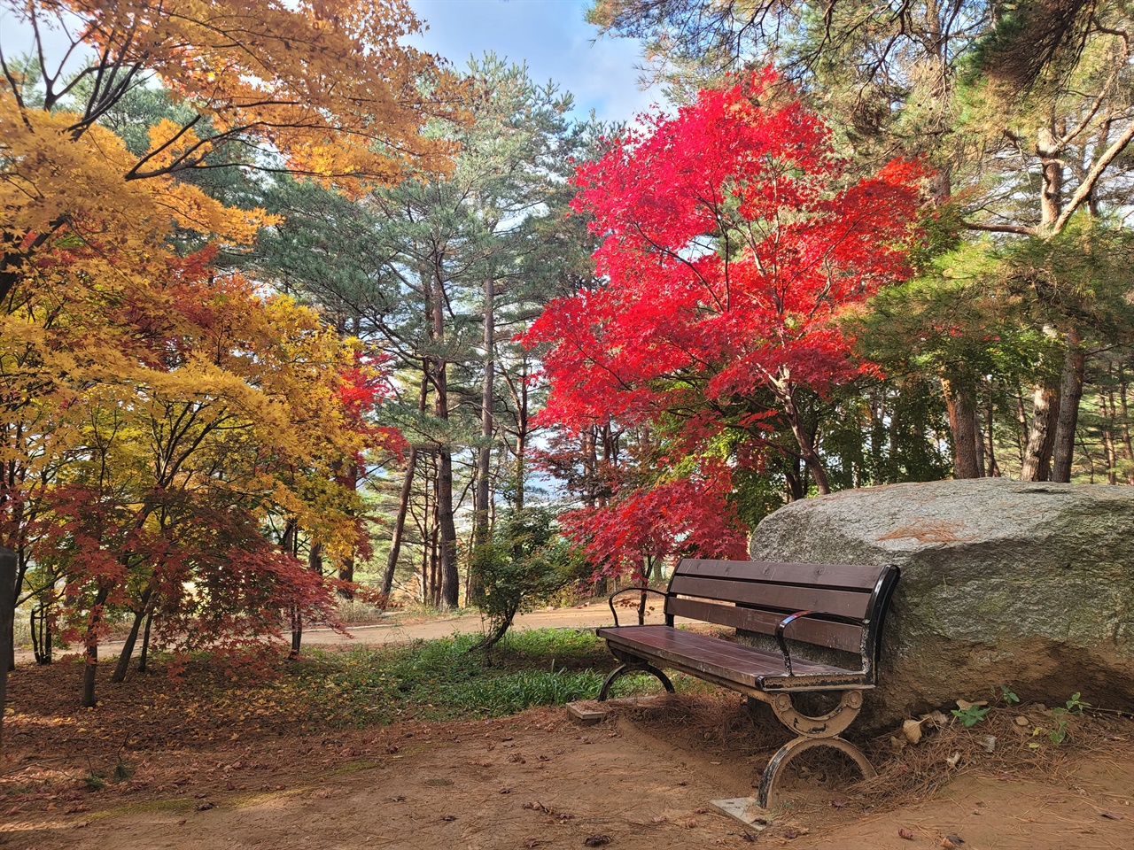 척산온천 산책로 가을 풍경 척산온천 산책로의 늦가을 풍경입니다.온천도 즐길 수 있고 마지막 만추를 즐길 수 있는 최적의 장소입니다.