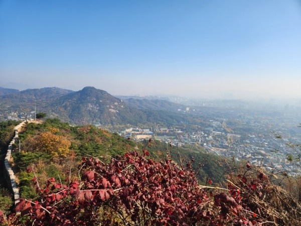  인왕산의 아름다운 가을이 무르익어가고 있다.