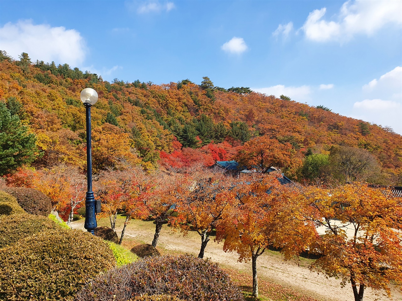  수도암에서 바라본 수도산 단풍