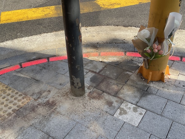  13일 서울 은평구의 한 초등학교 옆 어린이보호구역에서 일어난 70대 운전자의 인도 돌진 사고로 보행자 1명이 경상을 입고, 그의 반려견이 즉사했다. 14일 사고 현장에는 갑작스럽게 세상을 떠난 반려견을 애도하는 시민들의 꽃이 여러 송이 놓여 있었다.