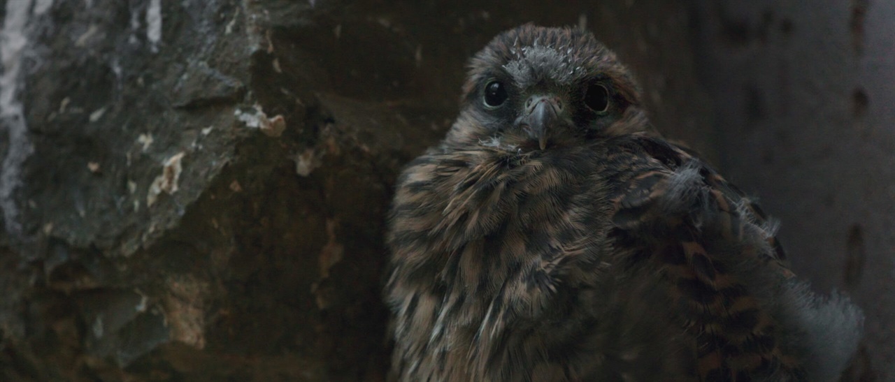  영화 <코리올리 효과>의 한 장면.