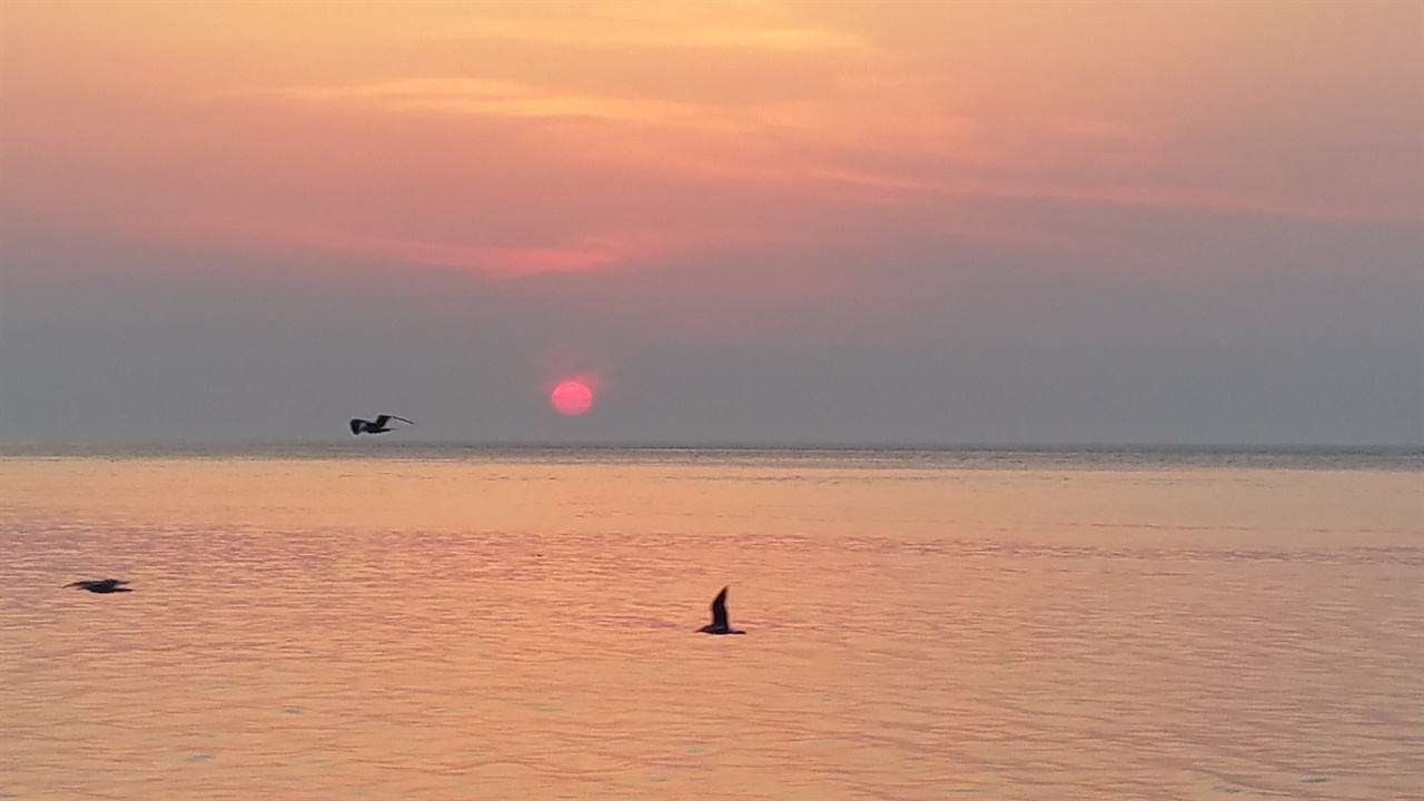 요즘 세상에...<br>바다 위 작은 뗏목과<br>그 위에 엎드린 한 사람