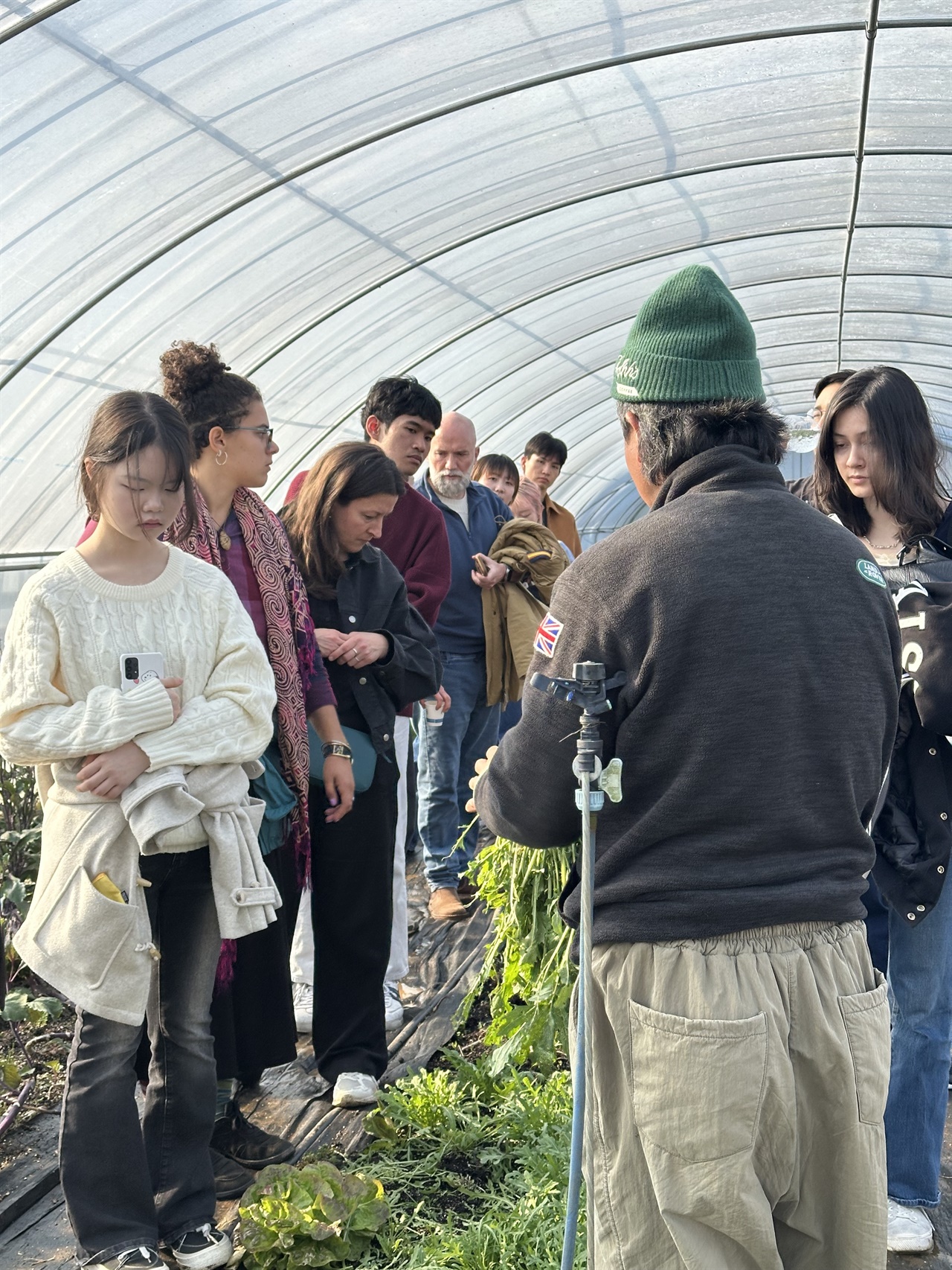 스위스·카이스트 연구진들이 태안의 농장을 찾은 이유