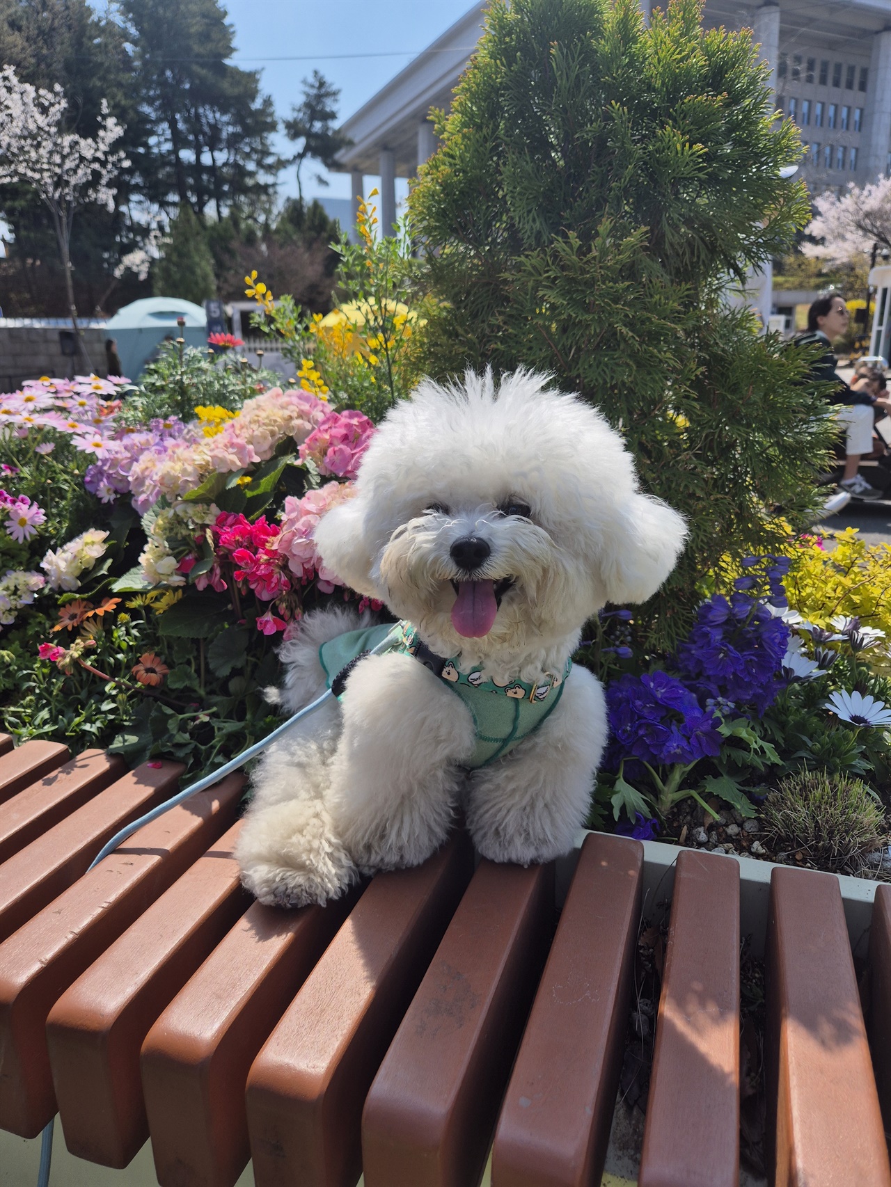 동물병원 갔다 눈물 쏟은 이유, 달력 보니 알겠네