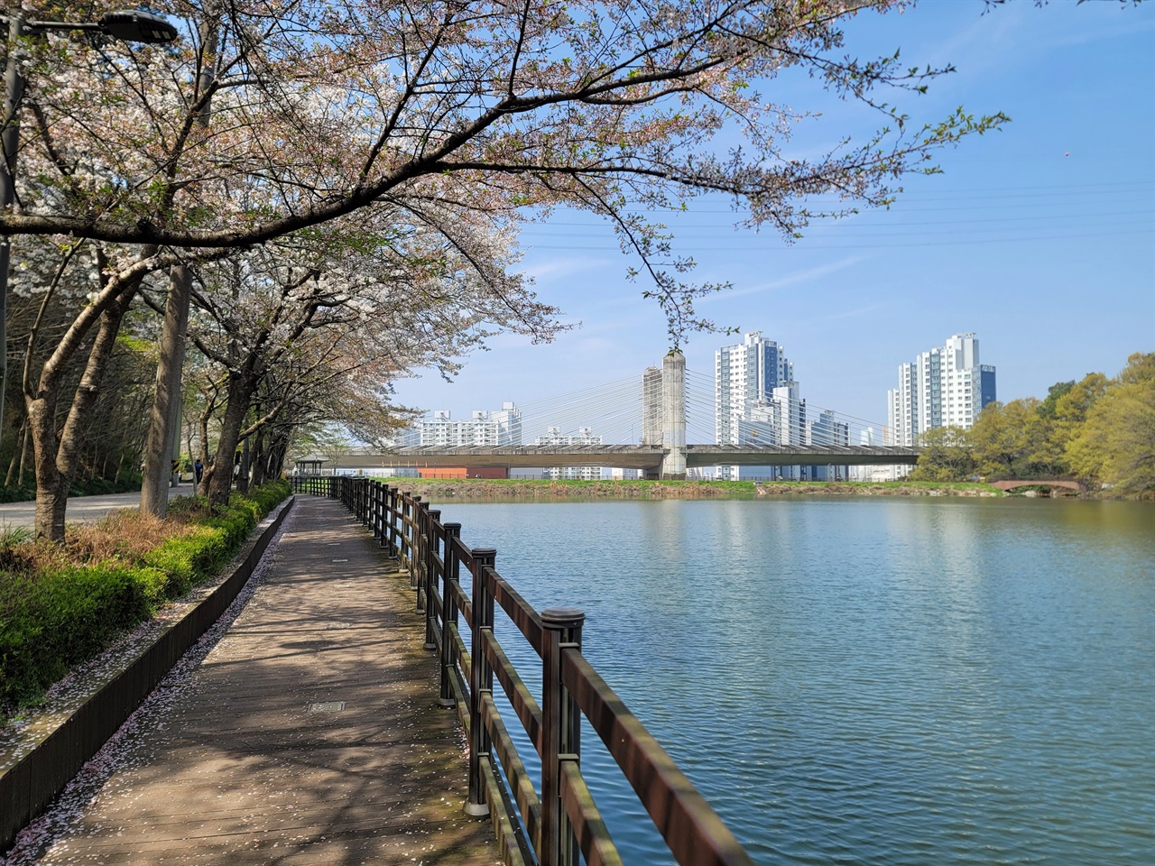산을 오르지 않고도 산을 온전히 만나는 길