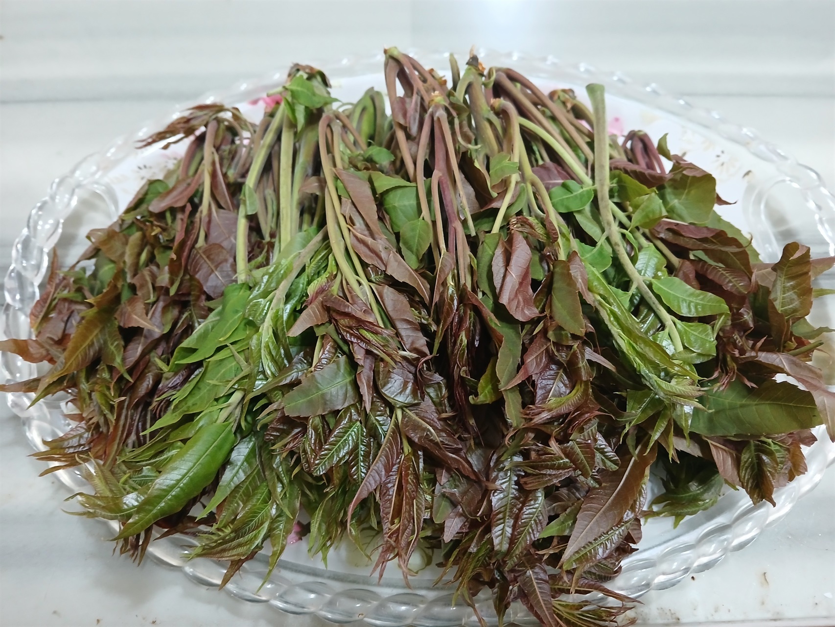 엄마가 빨랫줄에 주렁주렁 매달면 몰래 뜯어먹었던 나물