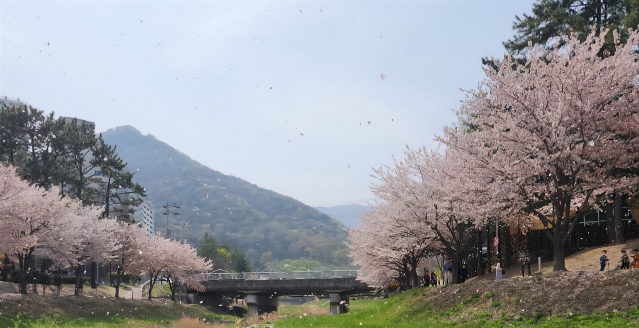 시각장애인이 된 지 9년, 나를 멈춰 세운 '모자무싸' 대사