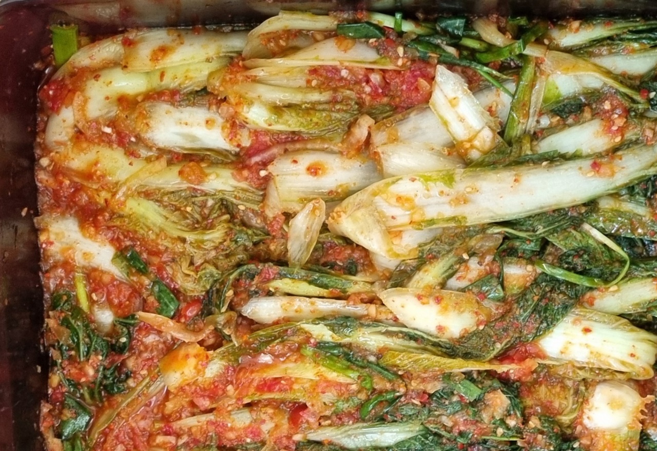 쓴맛 나는 얼갈이 배추김치, 이걸로 맛 되살렸어요