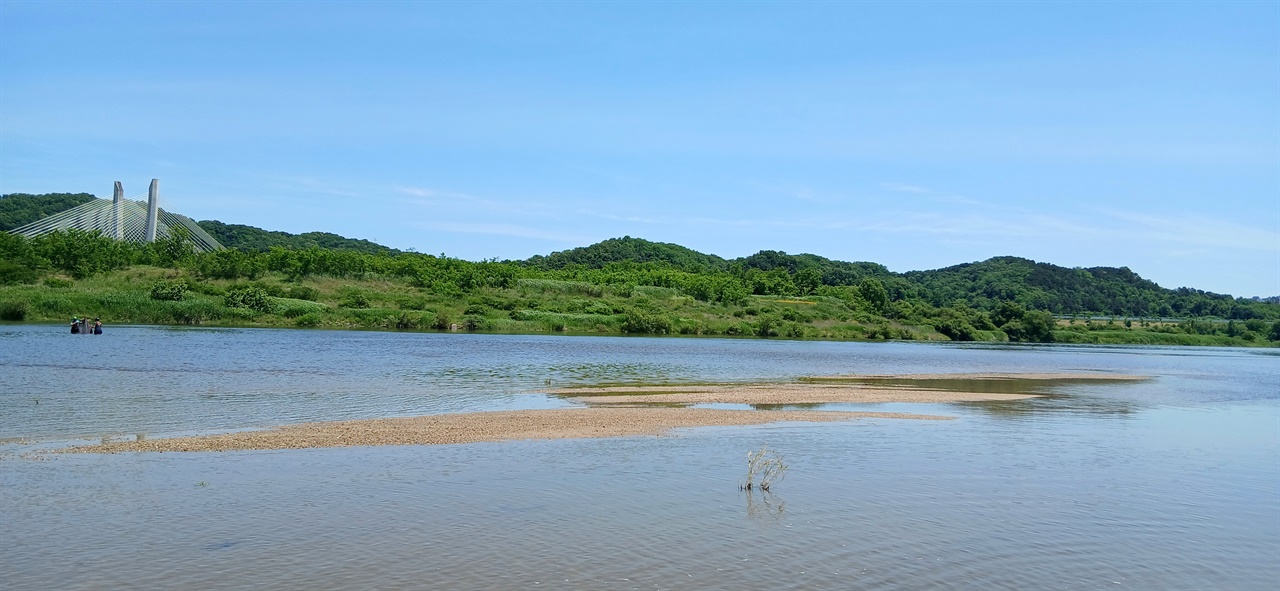 오락용 차 바퀴에 깔려 떼죽음... 멸종위기종 물고기의 수난