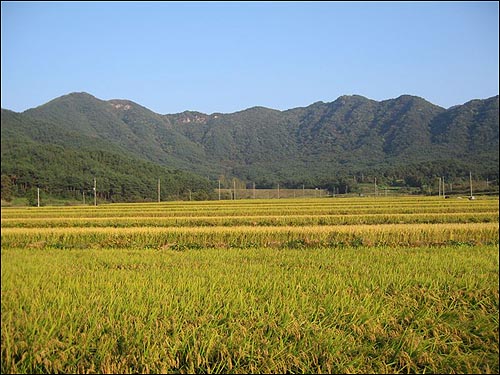 내려와서 올려다 본 월봉산
 